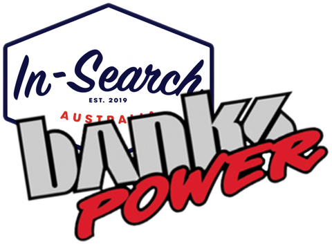 BANKS POWER